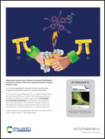 Graphical abstract: Back cover