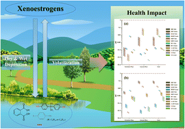 Graphical abstract: Air–water exchange fluxes of phthalates and phenolics xenoestrogens on Xietang River and East Taihu Lake in Suzhou and the potential health risks
