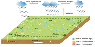 Graphical abstract: Distribution, homologue pattern, sources, and environmental behavior of short-chain chlorinated paraffins in multi-media environments within the petrochemical industry of the Yangtze River Delta