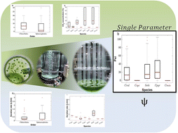 Graphical abstract: Reconciling algal growth understanding in photobioreactors through a statistical and facile single parameter (ψ) approach
