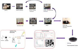 Graphical abstract: Synthesis of polyaniline-encapsulated silver nanocomposites to improve removal efficacy of anti-alzheimer drug from aqueous solution and evaluation of their antioxidant properties