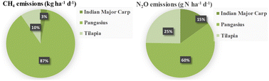 Graphical abstract: Assessing the impacts of feed and species composition on greenhouse gas emission from freshwater aquaculture systems in Bangladesh