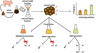 Graphical abstract: Augmenting manure solids as scaffolding for phosphorus release/retention via in situ iron-phosphate complexes procured with Fe-biochar + FeCl3 treatment
