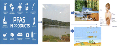 Graphical abstract: Environmental fate behavior and risk implications of legacy and emerging PFAS across multiple media: a spatiotemporal perspective from Africa and beyond