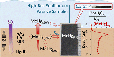Graphical abstract: High resolution porewater profiling of methylmercury with a novel equilibrium passive sampler