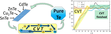 Graphical abstract: Separation of tellurium from various tellurides relevant for photovoltaics and from pre-product thin film solar cells for recycling by chemical vapor transport