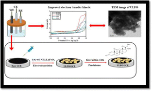 Graphical abstract: Harnessing a UiO-66-NH2/LaFeO3 nanocomposite for the electrochemical sensing of prednisone