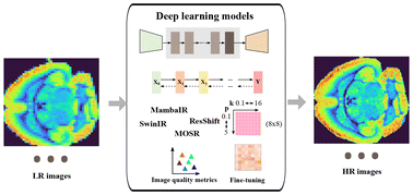 Graphical abstract: A practical framework for super-resolution of mass spectrometry images via adaptation of deep learning models