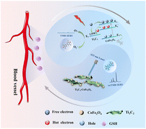 Graphical abstract: Heterojunction-engineered two-dimensional Ti3C2–CoFe2O4 nanozyme with oxidase-like activity for SERS detection of glutathione in human serum