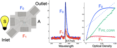 Graphical abstract: A two-point fluorescence detection flow cell with empirical calibration for high optical density analysis