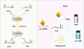 Graphical abstract: Design of a “turn-on” colorimetric sensor for AChE inhibitors based on the instability of metal–organic frameworks