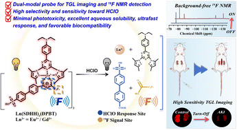 Graphical abstract: Lanthanide complex-based dual-modal probes for background-free time-gated luminescence and 19F magnetic resonance detection of hypochlorous acid in acute kidney injury