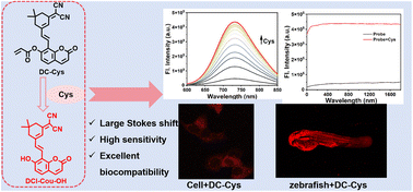 Graphical abstract: Construction of a near-infrared fluorescent probe for cysteine and its application in oxidative stress research