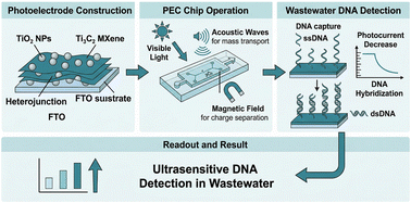 Graphical abstract: A TiO2/Ti3C2 MXene photoelectrochemical chip with multiphysics field engineering for quantification of wastewater DNA