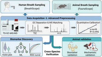 Graphical abstract: Development and validation of a cross-species breath metabolomics platform for translational VOC analysis