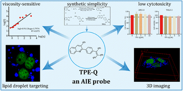 Graphical abstract: A fluorogenic and ultrabright probe for imaging of lipid droplets in live and fixed cells