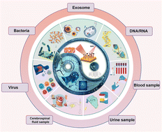Graphical abstract: Deep learning-empowered SERS: deciphering the multidimensional information code of complex biological samples