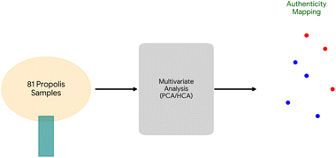 Graphical abstract: Chemometric evaluation of the CUPRAC assay for propolis quality control: a decision-making framework for deciphering antioxidant paradoxes