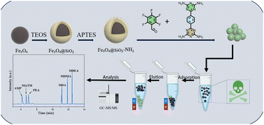Graphical abstract: Engineering fluorine and nitrogen co-doped magnetic organic polymers to enrich and detect amphetamine-type stimulants