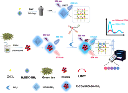 Graphical abstract: Phosphate-mediated fluorescence switching in a UiO-66-NH2/red carbon dot hybrid for ratiometric and smartphone-assisted visual detection of ethephon