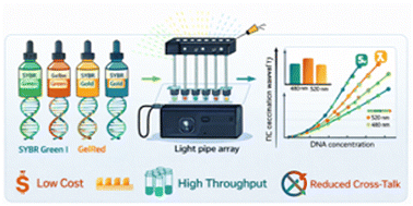 Graphical abstract: A low-cost, high-throughput DNA quantification system using light pipe arrays for parallel fluorescence measurement