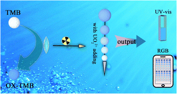 Graphical abstract: Smartphone integrated portable oxidase-like hydrogel kit for UO22+ colorimetric analysis