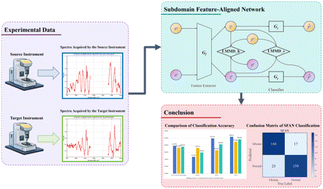 Graphical abstract: Domain-adaptive Raman spectral calibration transfer for cross-instrument glioma detection