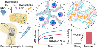 Graphical abstract: A thermosensitive hydrogel achieves sustained co-delivery of two therapeutic agents with distinct properties for preventing aseptic loosening