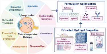 Graphical abstract: Thermoresponsive hydrogels for controlled drug delivery to the back of the eye: a data-driven guide to formulation design