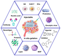 Graphical abstract: Tumor-confined delivery via syringeable hydrogels for reinforced immunomodulatory intervention