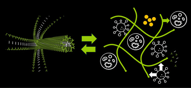 Graphical abstract: Towards supramolecular regenerative medicine using low-molecular-weight gelator hydrogels for stem cell growth