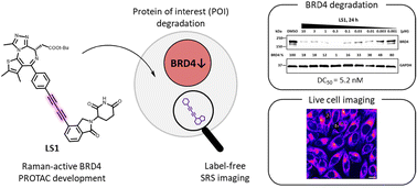 Graphical abstract: A new 4-atom linker enables PROTAC development and imaging