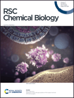 Graphical abstract: Front cover