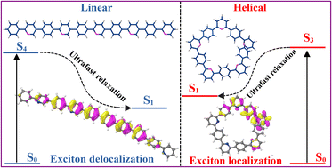 Graphical abstract: Conformation-driven (de)localization of the exciton in 2-phenylpyridine oligomers: non-adiabatic surface hopping dynamics
