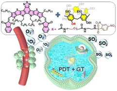 Graphical abstract: Enhancing photodynamic therapy effects by a glutathione-responsive SO2 donor as a nanocarrier for cancer therapy