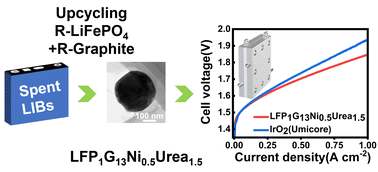 Graphical abstract: Upcycling of spent LiFePO4 cathodes to efficient oxygen evolution electrocatalysts in anion exchange membrane water electrolysis