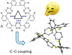Graphical abstract: Small cavitand macrocycles from direct C–C coupling of s-aryl tetrazine units