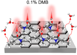 Graphical abstract: Dynamic surface protection of a Zn anode by N,N-dimethylamide-based molecules for use in aqueous batteries