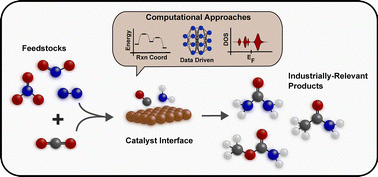 Graphical abstract: Electrochemical C–N coupling: a review of mechanistic pathways and computational frameworks