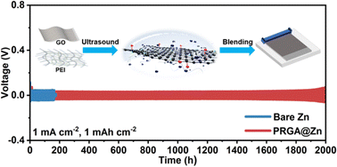 Graphical abstract: A multi-functional polymer coating enabling stable Zn anodes for high performance zinc-ion batteries
