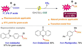 Graphical abstract: Late-stage diversification of pharmaceuticals and natural products via a direct electrochemical decarboxylative platform