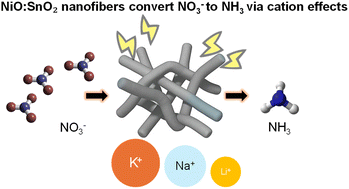 Graphical abstract: Influence of cations on nitrate-to-ammonia synthesis over NiO:SnO2: insights from differential electrochemical mass spectrometry