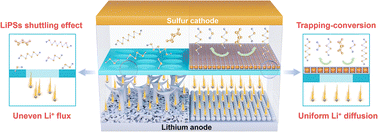 Graphical abstract: Amorphization and defect engineering of Nb2O5 within a graphitic nanocage array for catalytic polysulfide conversion in lithium–sulfur batteries