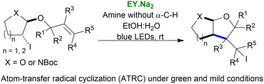 Graphical abstract: A new atom-transfer radical cyclization (ATRC) mediated by photocatalytically-generated aminyl radicals that do not have an α-C–H bond