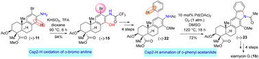 Graphical abstract: Total synthesis of (+)-xiamycin G via acetanilide-assisted two-fold Csp2–H functionalization