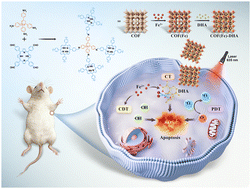 Graphical abstract: DHA/Fe2+-doped porphyrin COFs enable ROS-amplified multimodal tumor therapy