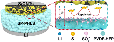 Graphical abstract: Spherulite-packed polymer electrolytes with high ion selectivity for stable lithium–sulfur battery performance