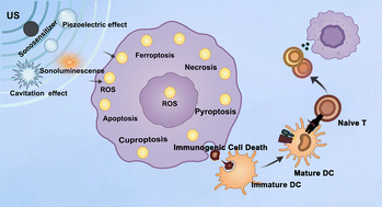 Graphical abstract: Ultrasound-driven sonodynamic therapy for hepatocellular carcinoma