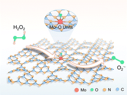 Graphical abstract: Polarized Mo–O Units on g-C3N4 for enhanced photo-Fenton activity