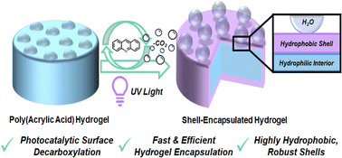 Graphical abstract: Photocatalytic surface grafting of hydrophobic shells onto hydrogels